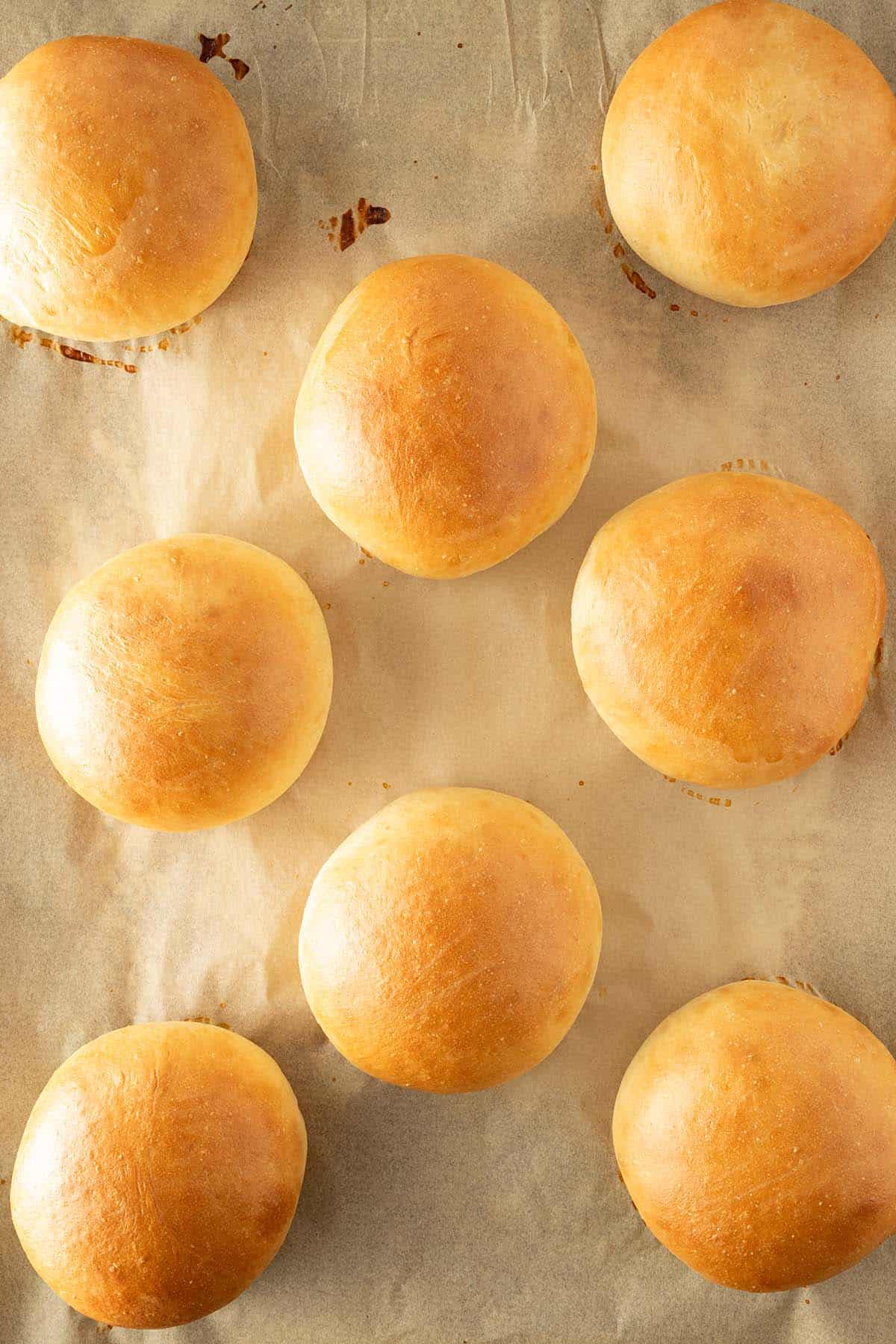 Frisch gebackene, goldbraune Brioche Burger Buns auf einem Backblech.