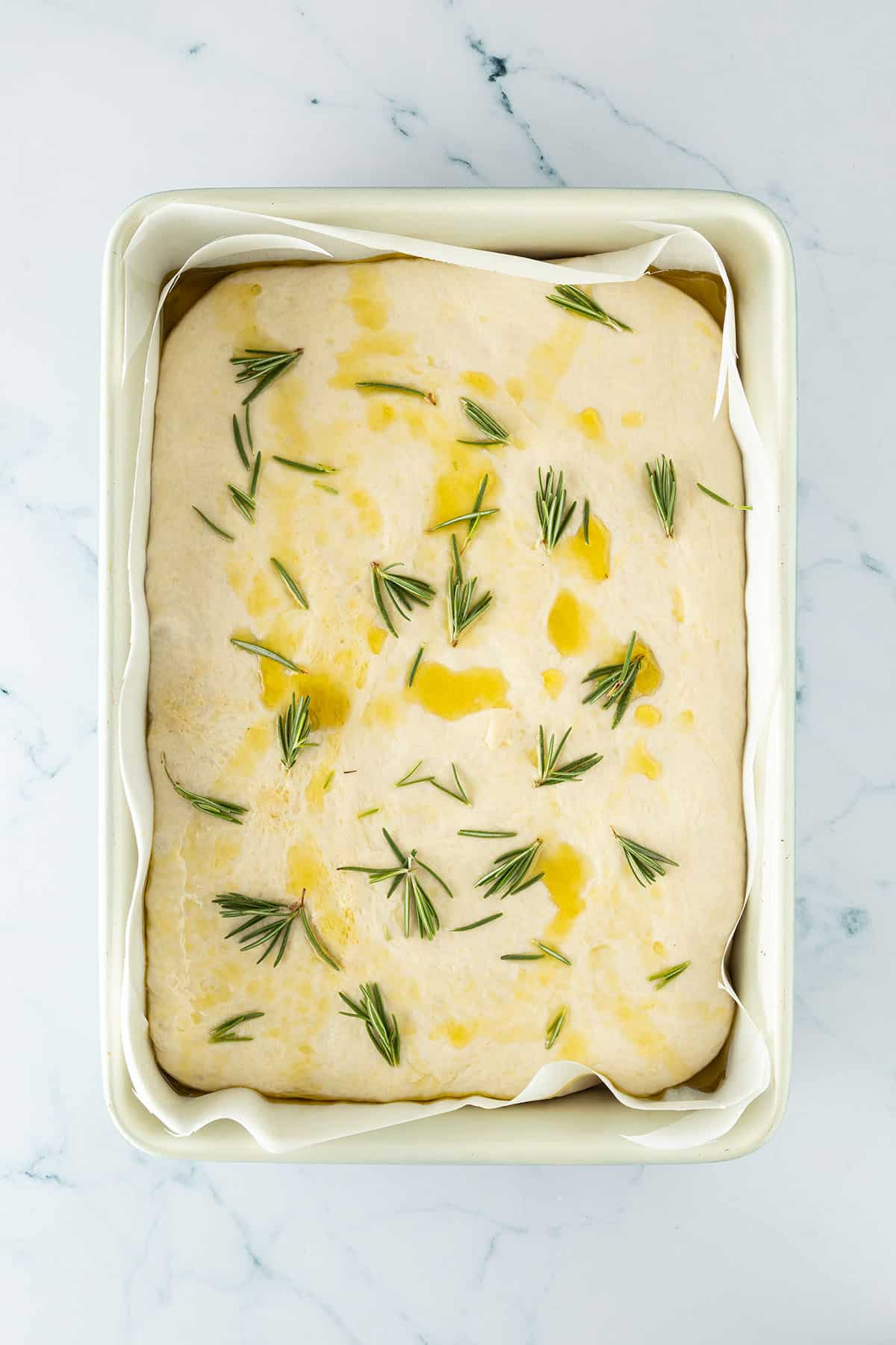 Aufgegangener Focaccia-Teig mit Olivenöl und frischem Rosmarin vor dem Eindrücken der typischen Mulden.