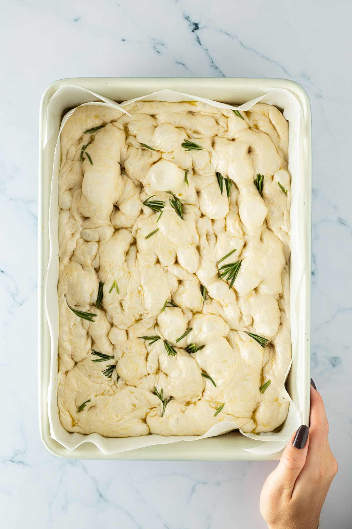 Focaccia-Teig mit Rosmarin und tief eingedrückten Mulden direkt vor dem Backen.