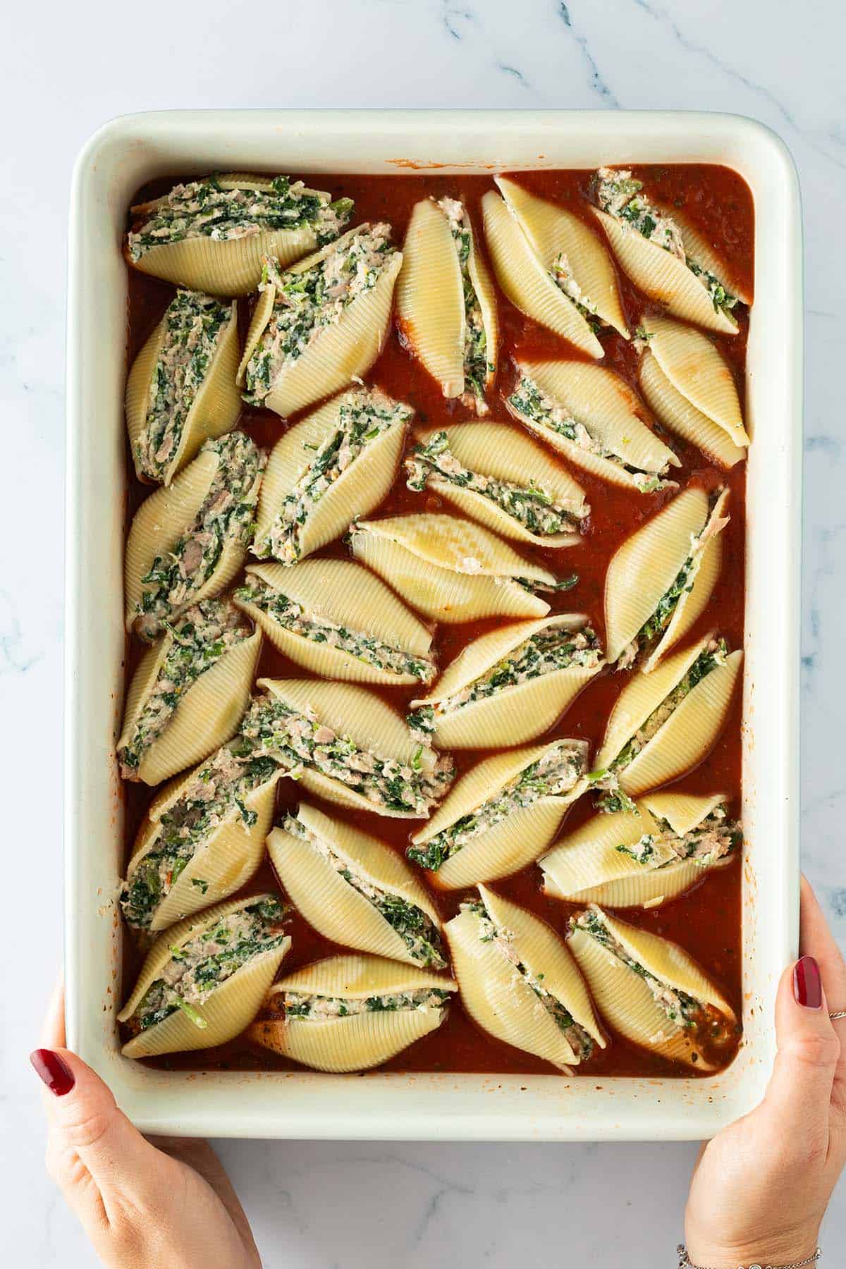 Gefüllte Muschelnudeln liegen nebeneinander in einer Auflaufform mit Tomatensauce.
