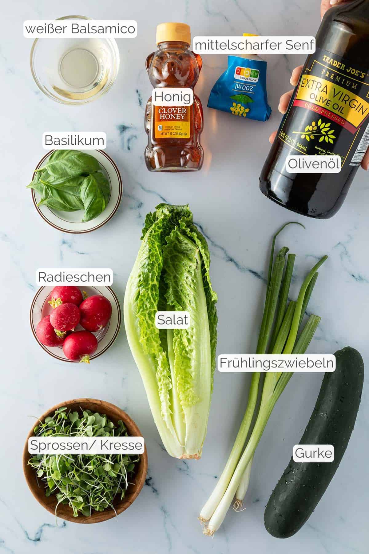 Alle Zutaten mit Textbeschriftungen, die für den gemischten Salat benötigt werden.