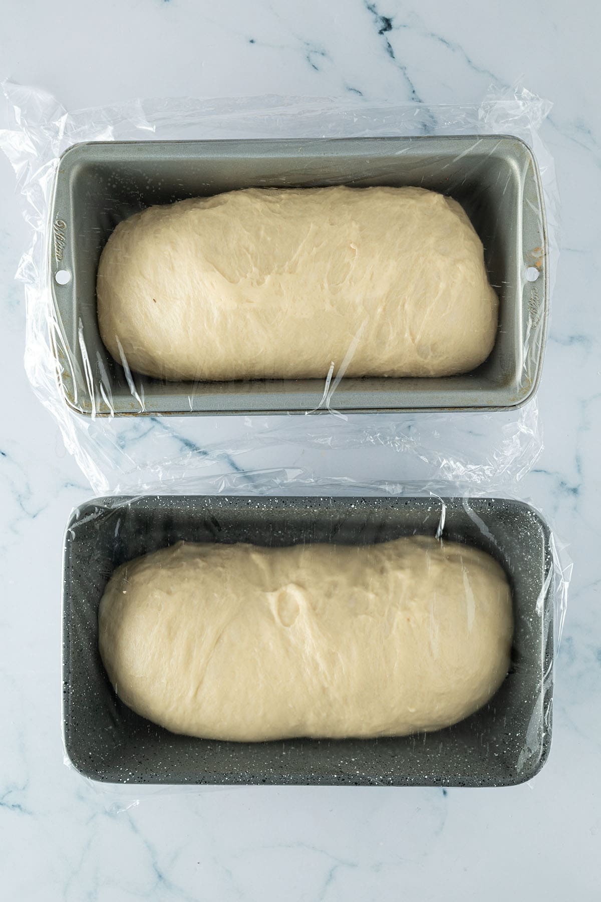 Hefeteig in zwei Kastenformen, locker aufgegangen und mit Frischhaltefolie abgedeckt.