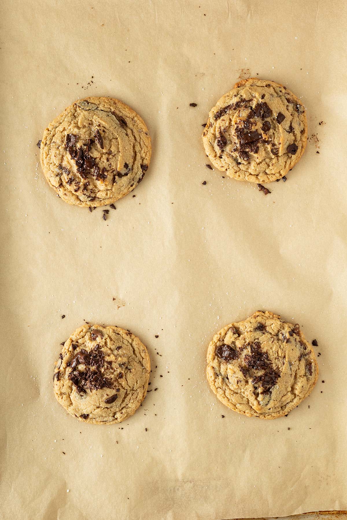 Vier goldbraune Chocolate Chip Cookies 15 Minuten nach dem Backen, mit geschmolzenen Schokostückchen auf einem mit Backpapier ausgelegtem Blech.